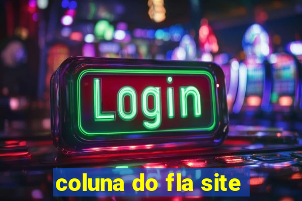 coluna do fla site