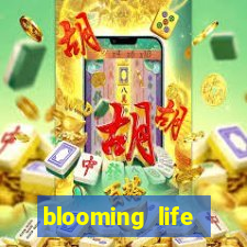 blooming life studio and spa