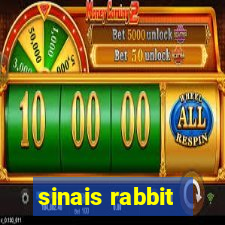 sinais rabbit