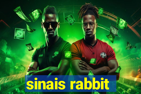 sinais rabbit