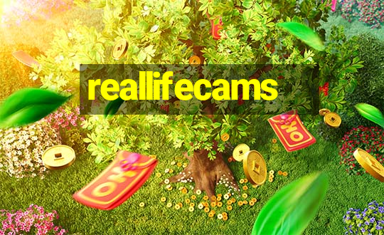 reallifecams