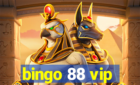 bingo 88 vip