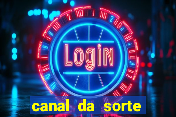 canal da sorte bingo de hoje