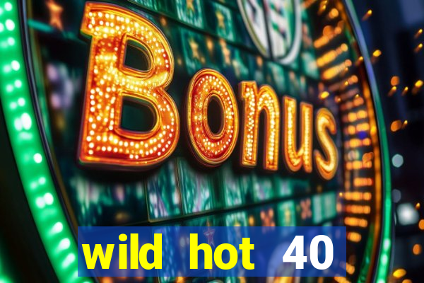 wild hot 40 christmas slot