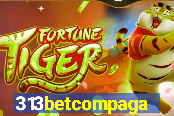 313betcompaga