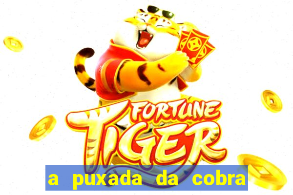 a puxada da cobra no jogo do bicho