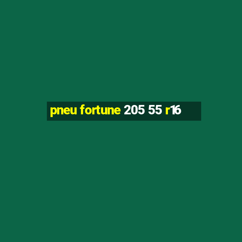 pneu fortune 205 55 r16