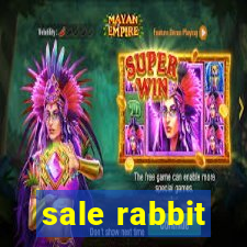 sale rabbit