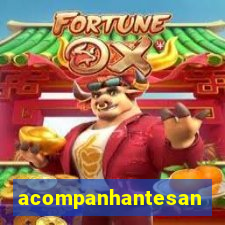 acompanhantesantos