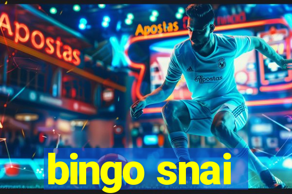 bingo snai