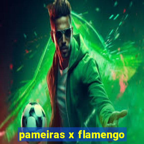 pameiras x flamengo