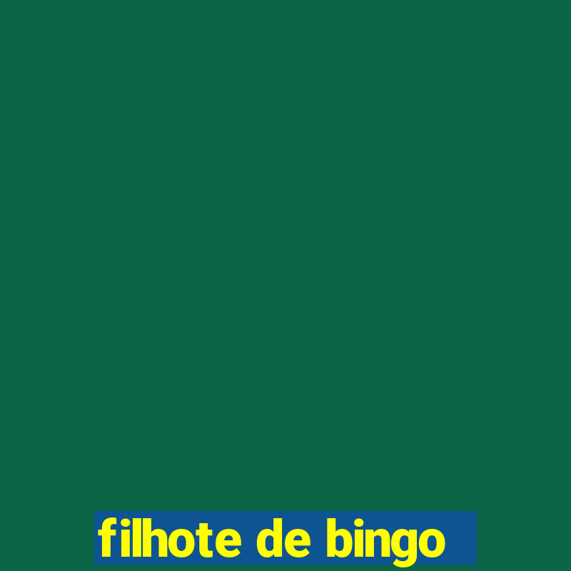 filhote de bingo