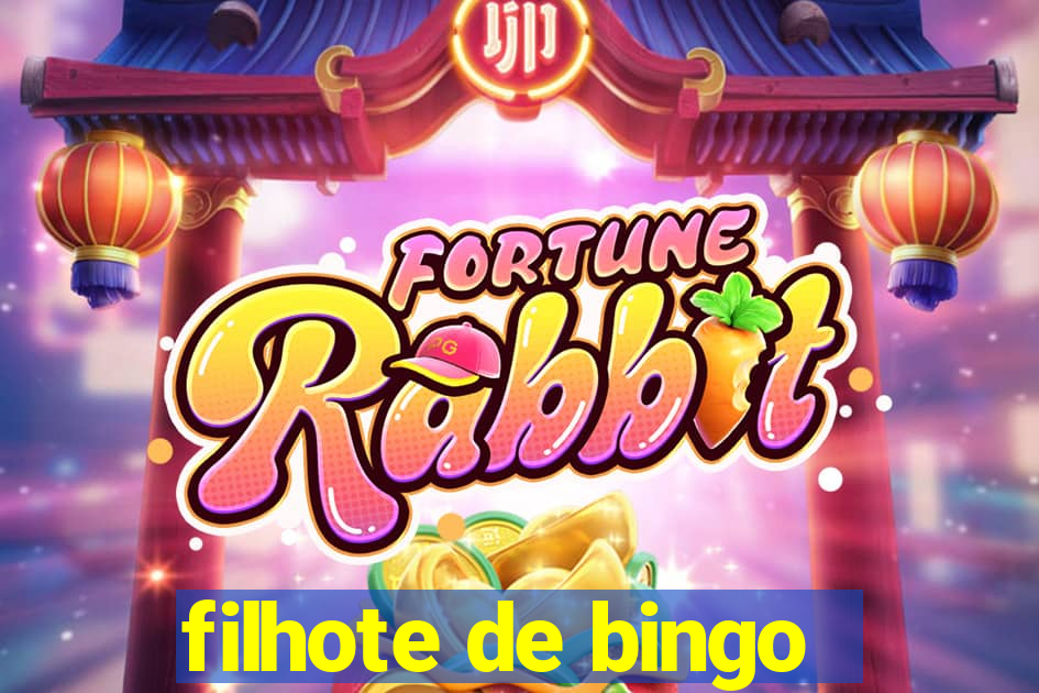 filhote de bingo