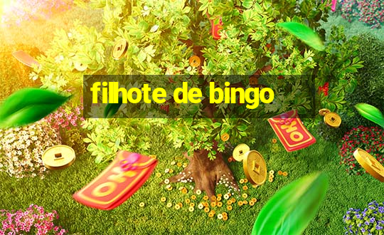 filhote de bingo