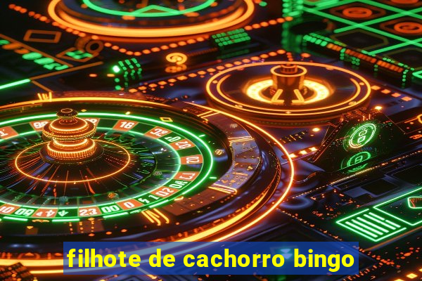 filhote de cachorro bingo