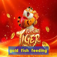 gold fish feeding time slot machine