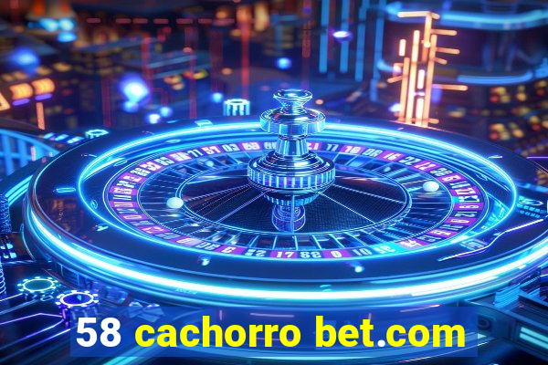 58 cachorro bet.com