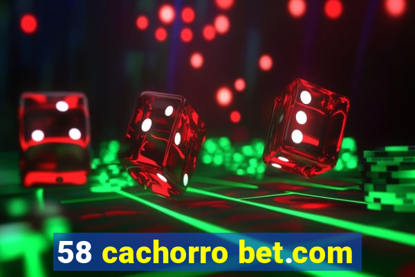 58 cachorro bet.com