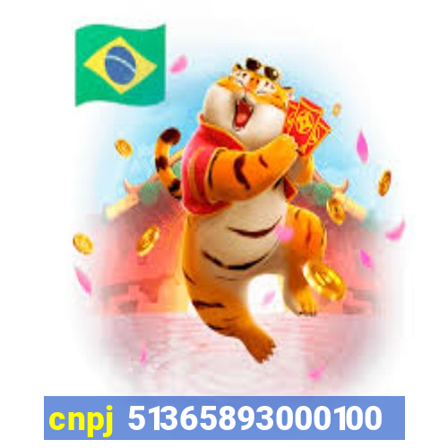 cnpj 51365893000100