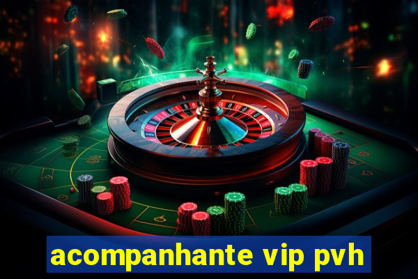 acompanhante vip pvh