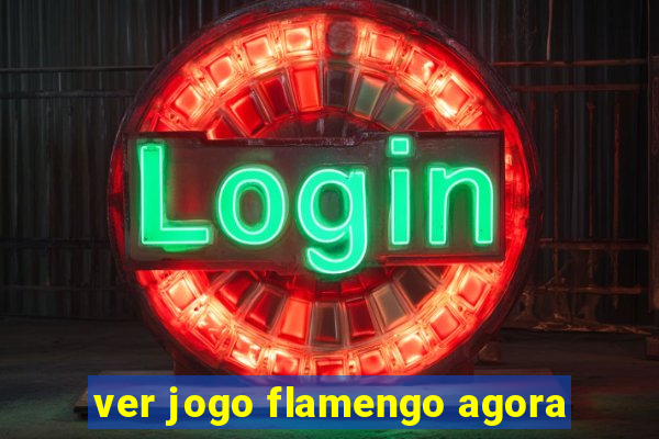 ver jogo flamengo agora