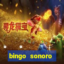 bingo sonoro educa??o infantil