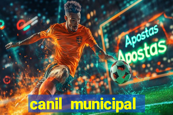 canil municipal porto alegre