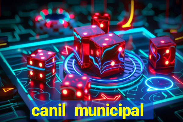 canil municipal porto alegre