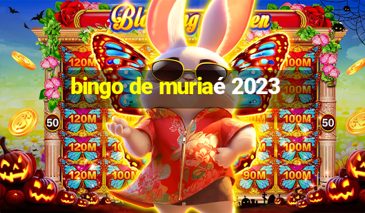 bingo de muriaé 2023