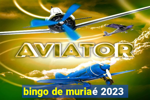 bingo de muriaé 2023