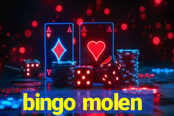 bingo molen