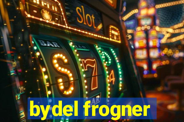 bydel frogner