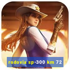 rodovia sp-300 km 72