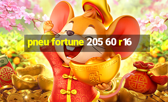 pneu fortune 205 60 r16