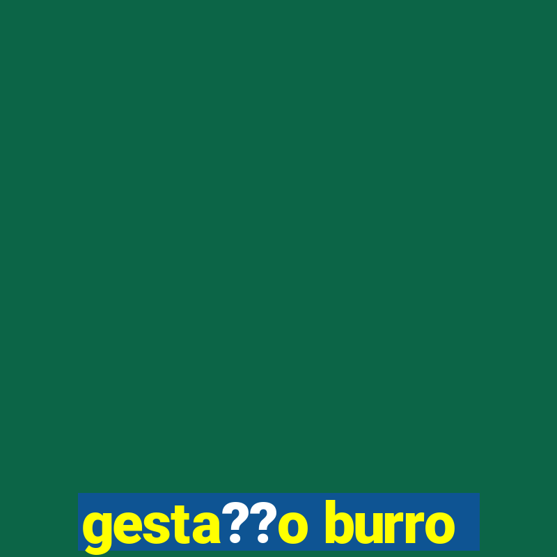 gesta??o burro