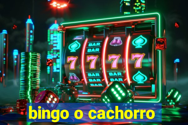 bingo o cachorro