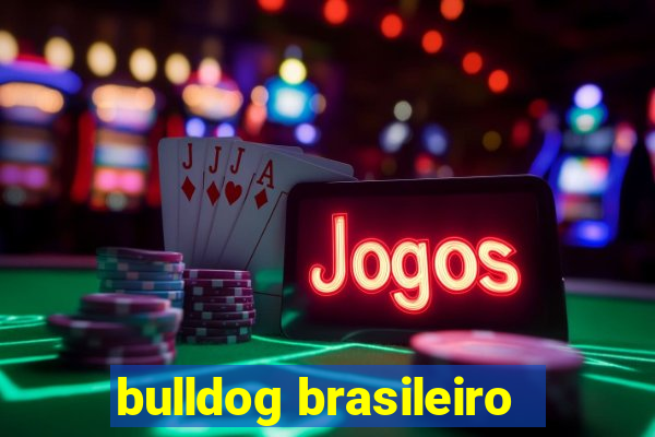 bulldog brasileiro