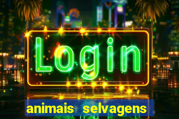 animais selvagens fotos e nomes