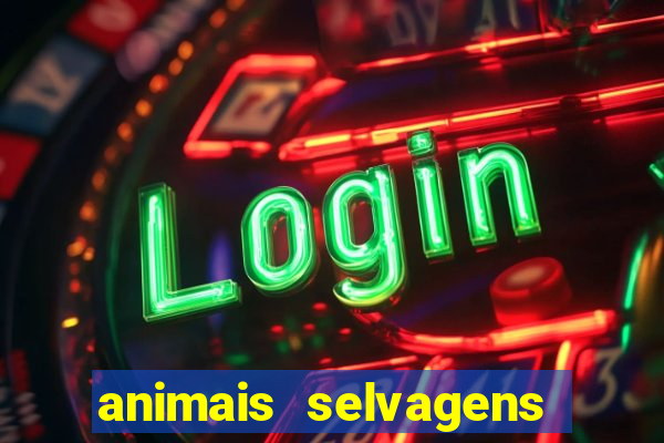 animais selvagens fotos e nomes