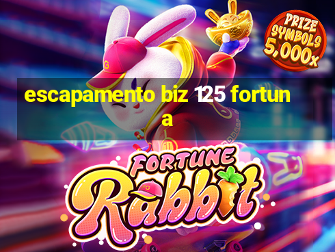 escapamento biz 125 fortuna