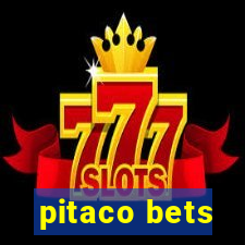 pitaco bets