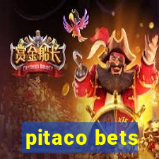 pitaco bets