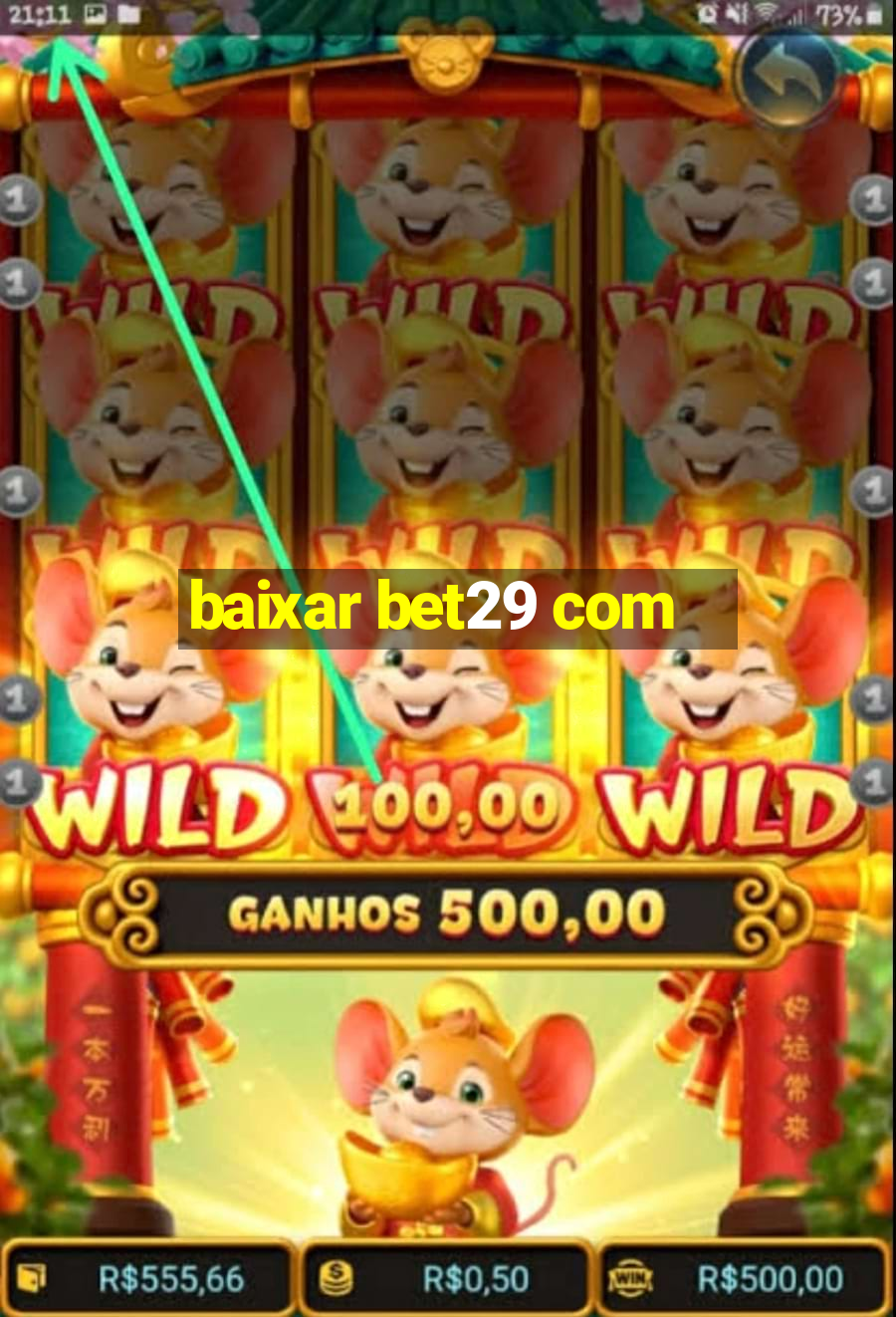 baixar bet29 com