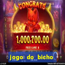 jogo do bicho online df