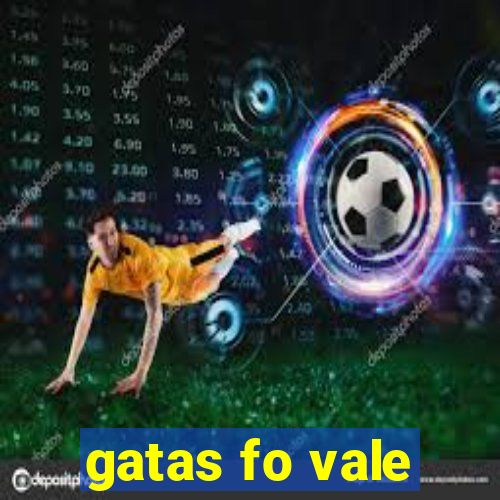 gatas fo vale