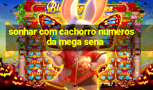 sonhar com cachorro numeros da mega sena