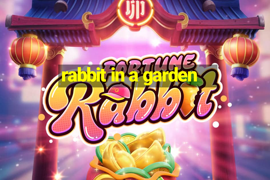 rabbit in a garden