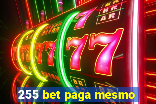 255 bet paga mesmo