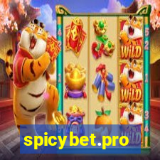 spicybet.pro