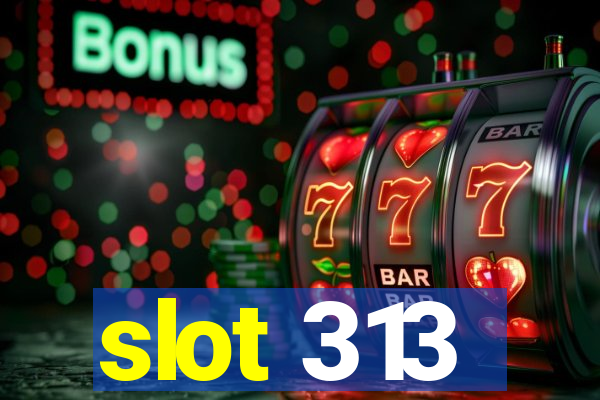 slot 313